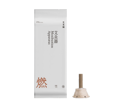 Moxa Stick